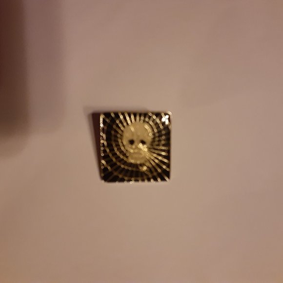 1" Black Back Spiderweb with Skull Spider - Picture 3 of 5